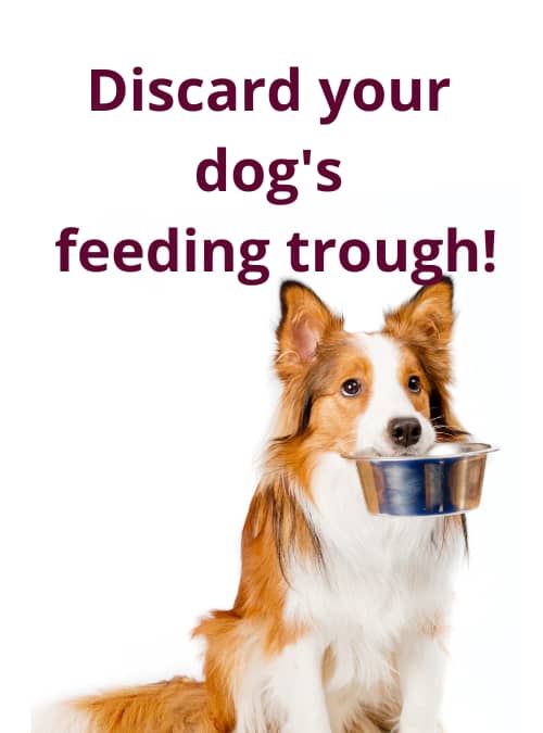 Discard your dog’s feeding trough!
