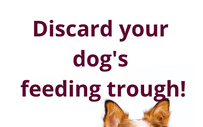 Discard your dog’s feeding trough!